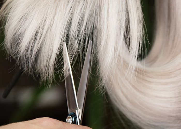 taglio-capelli